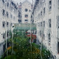 雨丝轻绕“嘉园”梦