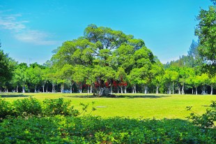 乘风前行