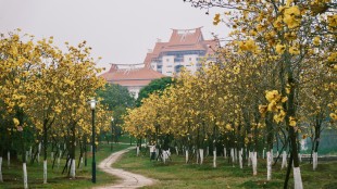 思“嘉园”，颂“嘉”景，忆“嘉”人，怀“嘉”事